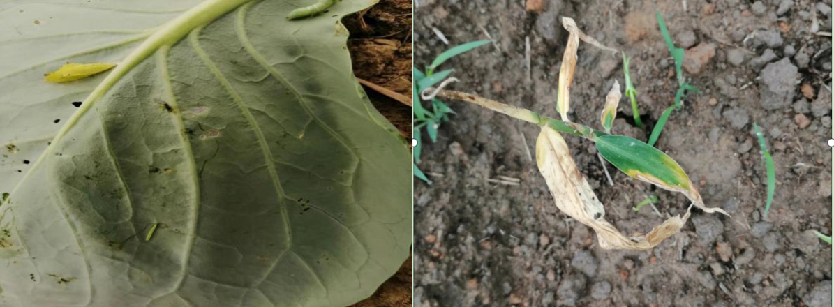 凯发·k8(中国游)官方网站