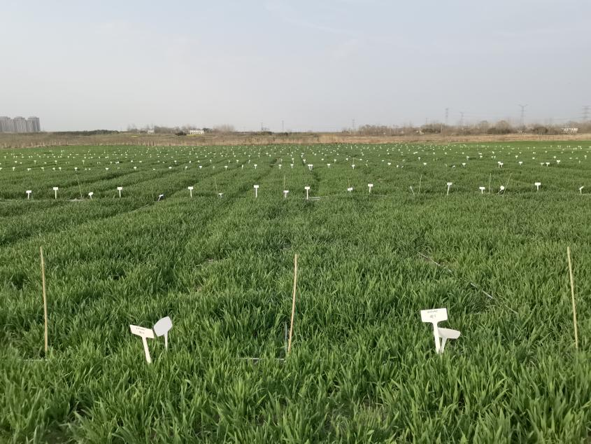 凯发·k8(中国游)官方网站