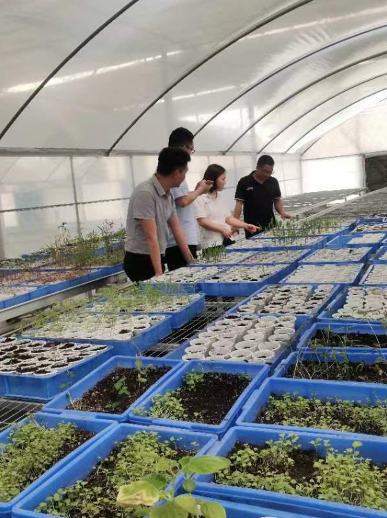 凯发·k8(中国游)官方网站