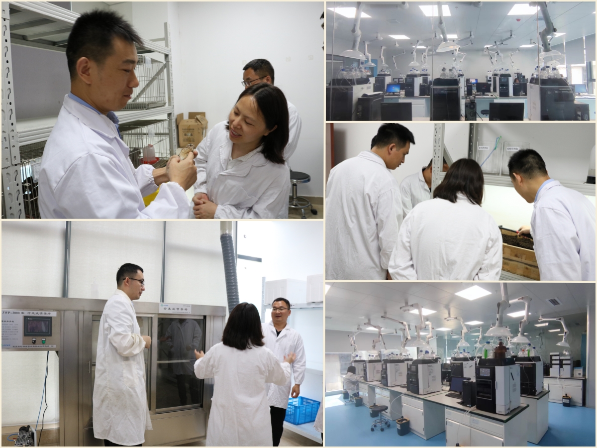 凯发·k8(中国游)官方网站