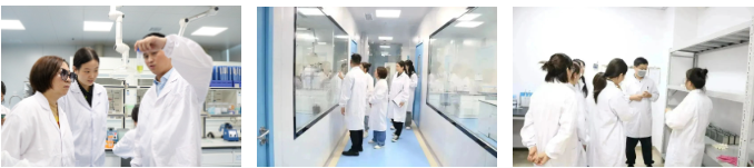 凯发·k8(中国游)官方网站