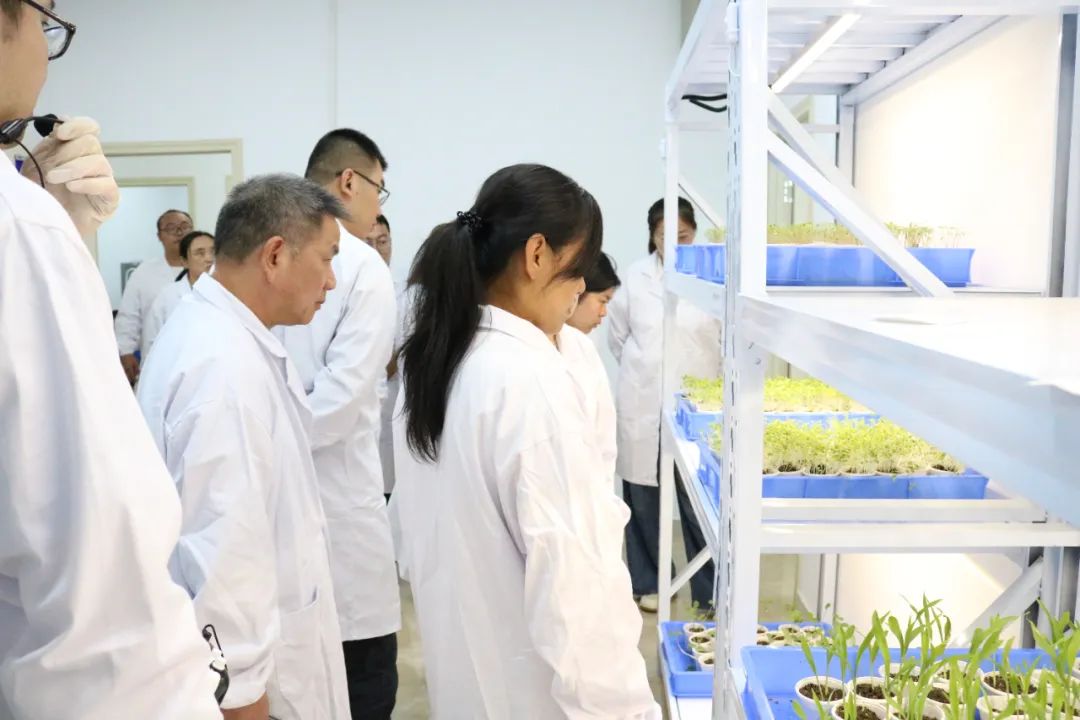 凯发·k8(中国游)官方网站