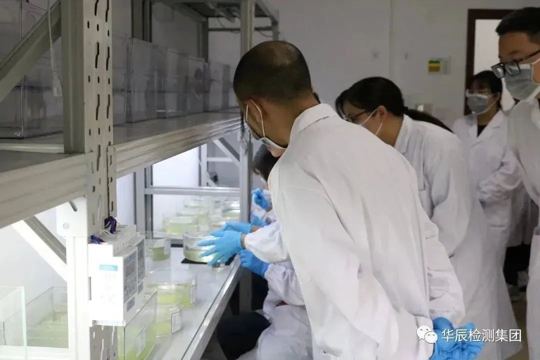 凯发·k8(中国游)官方网站