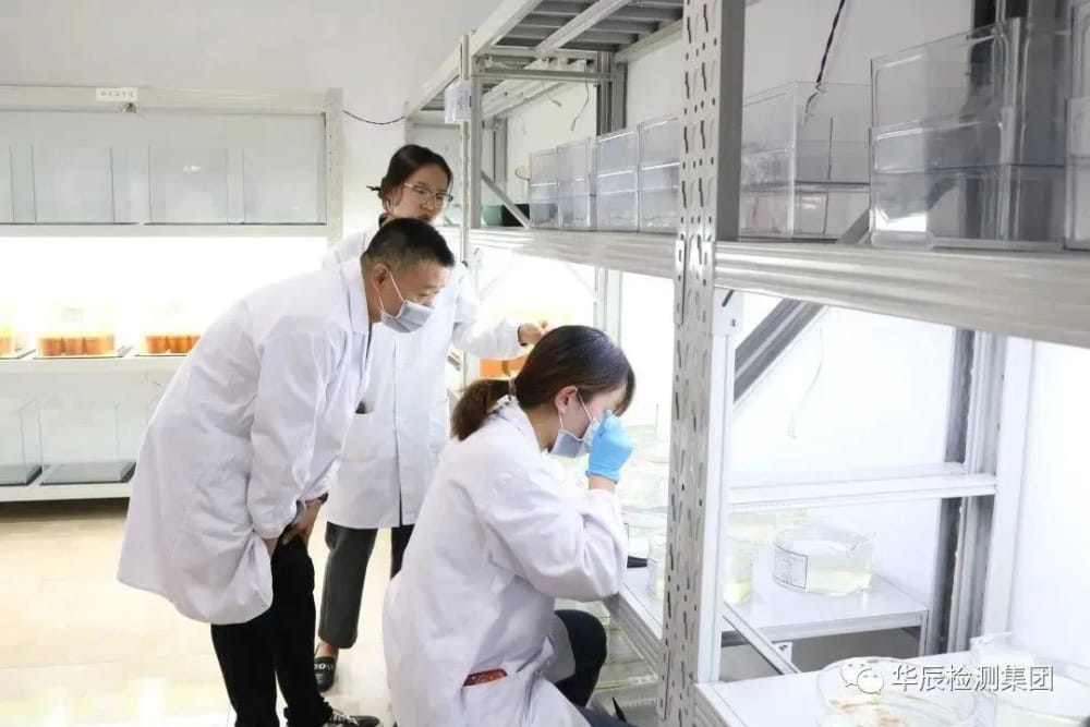 凯发·k8(中国游)官方网站