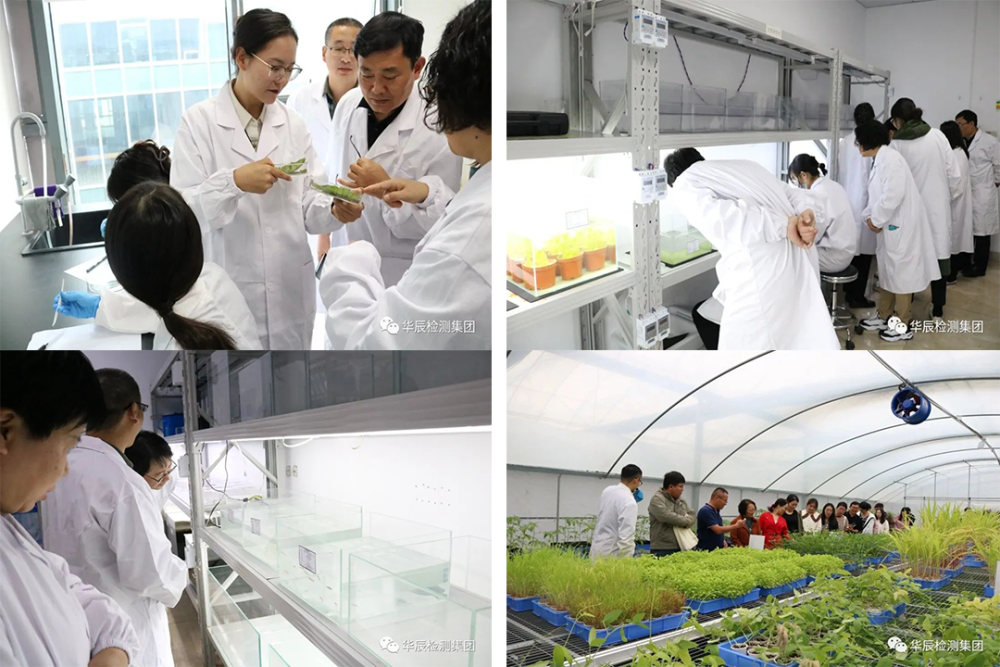 凯发·k8(中国游)官方网站